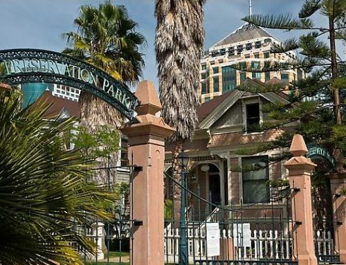 The Grove at Preservation Park: Request for Activation Proposals!